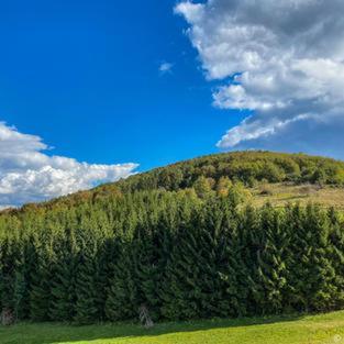 Dome Home Tents Taor Valjevo Dış mekan fotoğraf